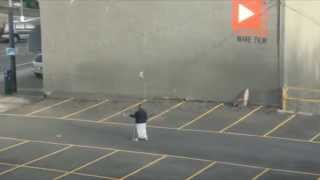 Make Film Play Ball