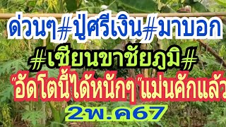 ด่วนๆ"ปู่ศรีเงิน"มาบอก"เซียนขาชัยภูมิ"อัดได้โตนี้"แม่นคักแล้ว2พ.ค67