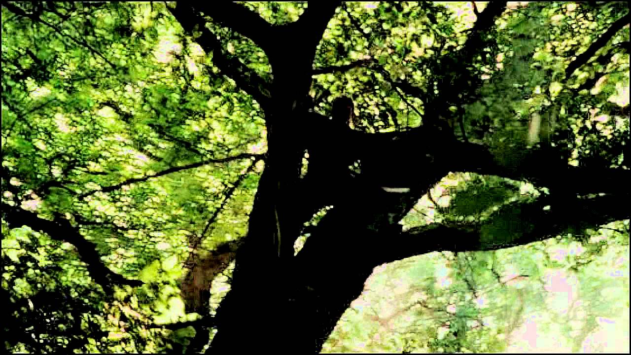 Just a PIECE in their game