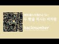 [가사/해석]back number‐두 뺨을 적시는 비처럼(頬を濡らす雨のように)