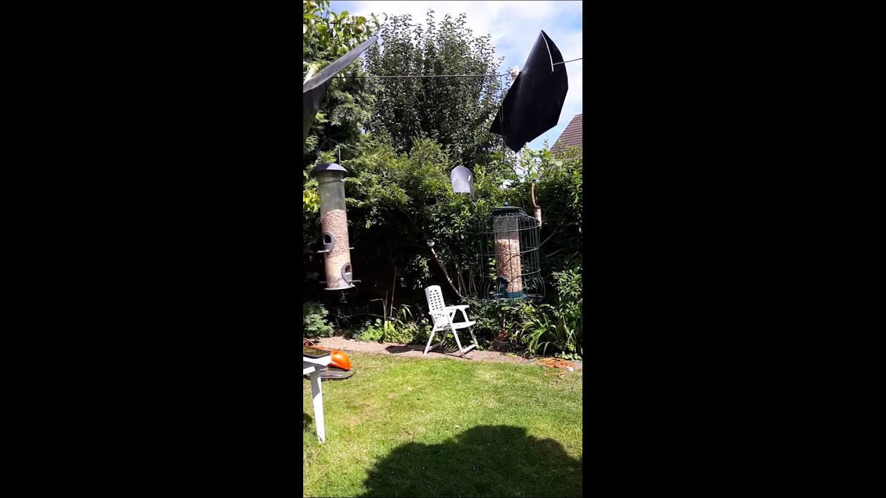 Bird Bath Feeder Station Combined Youtube
