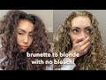 DYEING MY HAIR CARAMEL BLONDE FOR THE DAY WITHOUT BLEACH- mofojang hair colour | Morgan Fernandez