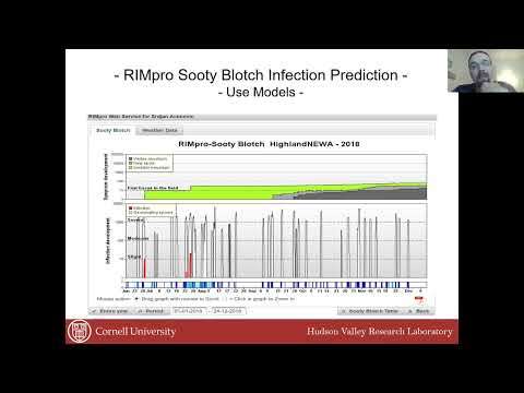 וִידֵאוֹ: What Causes Pear Flyspeck: למד על ניהול זבוב זבוב על אגסים