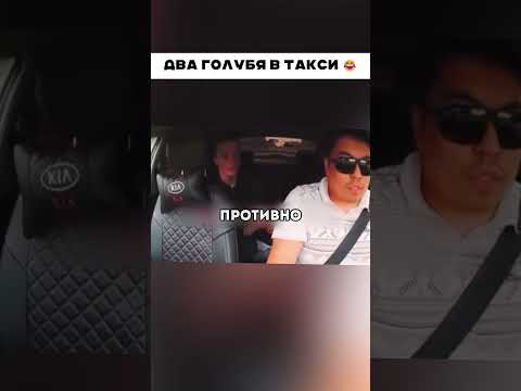 Два голубя 🤣