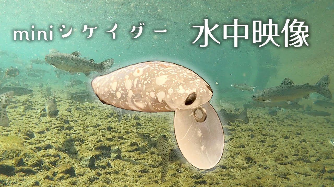 MASUKEN水族館#3 ロデオクラフトドリフトスピン【エリアトラウト 