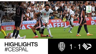 Highlights Cesena - Palermo 1-1