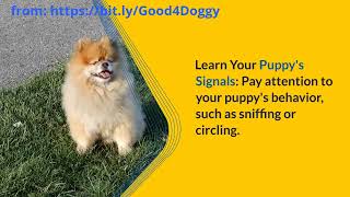 Potty Training 101  Say Goodbye to Accidents