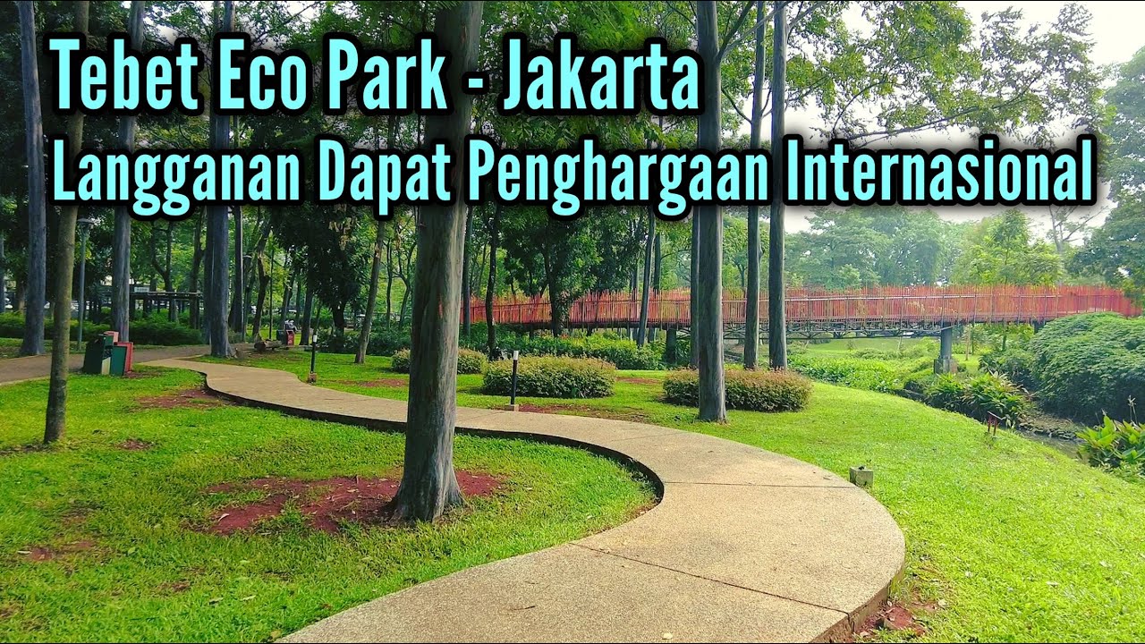 Berturut-turut Dapat Penghargaan Internasional, Update Terbaru Tebet Eco Park Jakarta