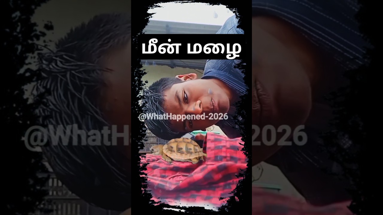 🐟🌧️மீன் மழை உண்மையா?! 🐟🌧️🤣 | வாய் திறந்த உடனே மீன்🐟 விழுந்துச்சு?!😩😣 