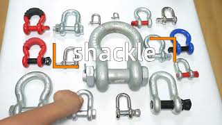 Bow Shackles D Shackles Towing Shackles