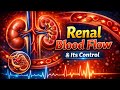 Physiology of Renal blood Flow &amp; its control RENAL