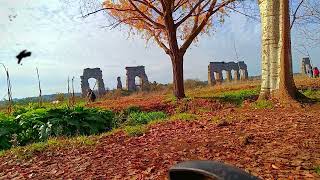 This Year Broke Me But It Didnt End Me An Emotional End-Of-Year Speech