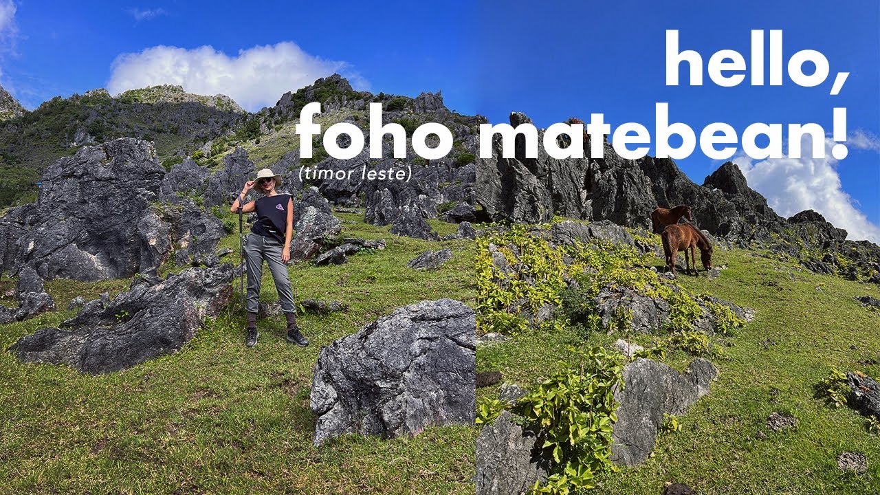 akhirnya ketemu kuda liar miliknya timor leste di gunung matebean feto!