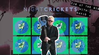 David J of Bauhaus, The Night Crickets On Zig At The Gig