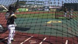 Inside the Grapefruit League 2013