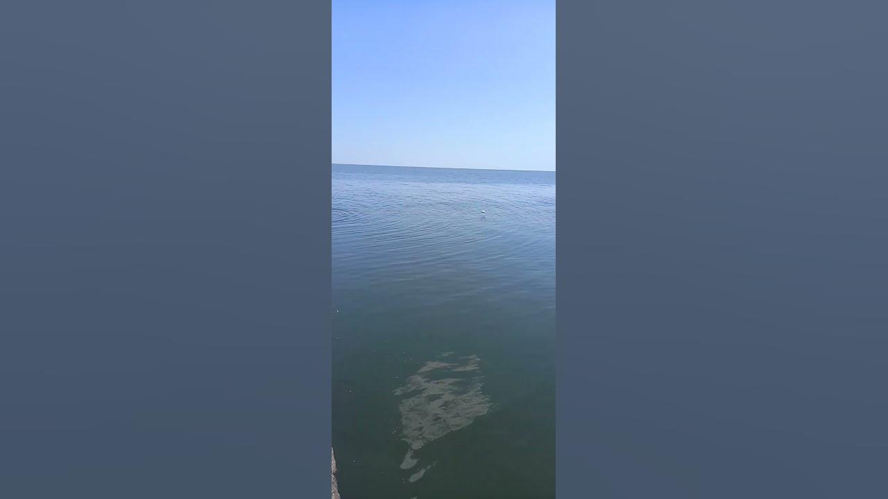 Одеса пляж Ланжерон...🥰 - YouTube