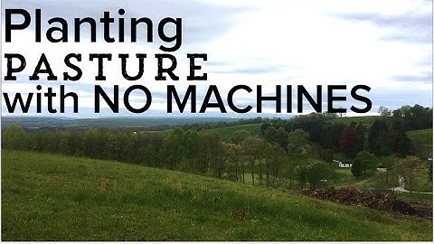 How to Seed a Pasture - Planting a Pasture from Scratch with NO MACHINES