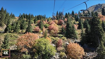 Chill Autumn Ride to Shymbulak, Almaty 🍂 Jazz & Scenic Views in the Fall Sun
