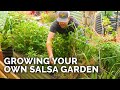 How to Grow Your Own Salsa 🌶️ | Raised Bed Planting Ideas