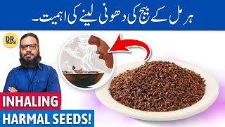 Harmal Beej Ke Jismani/Rohani Fayde! Harmal Seed Benefits | Dr. Ibrahim screenshot 5