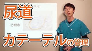 尿道カテーテルの管理 - ドクターメイト内科医 山村聡