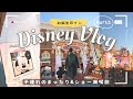 【家族ディズニーVlog】夫の誕生日にサプライズ！2歳児とベビーカーなしで1月のパークを満喫♪