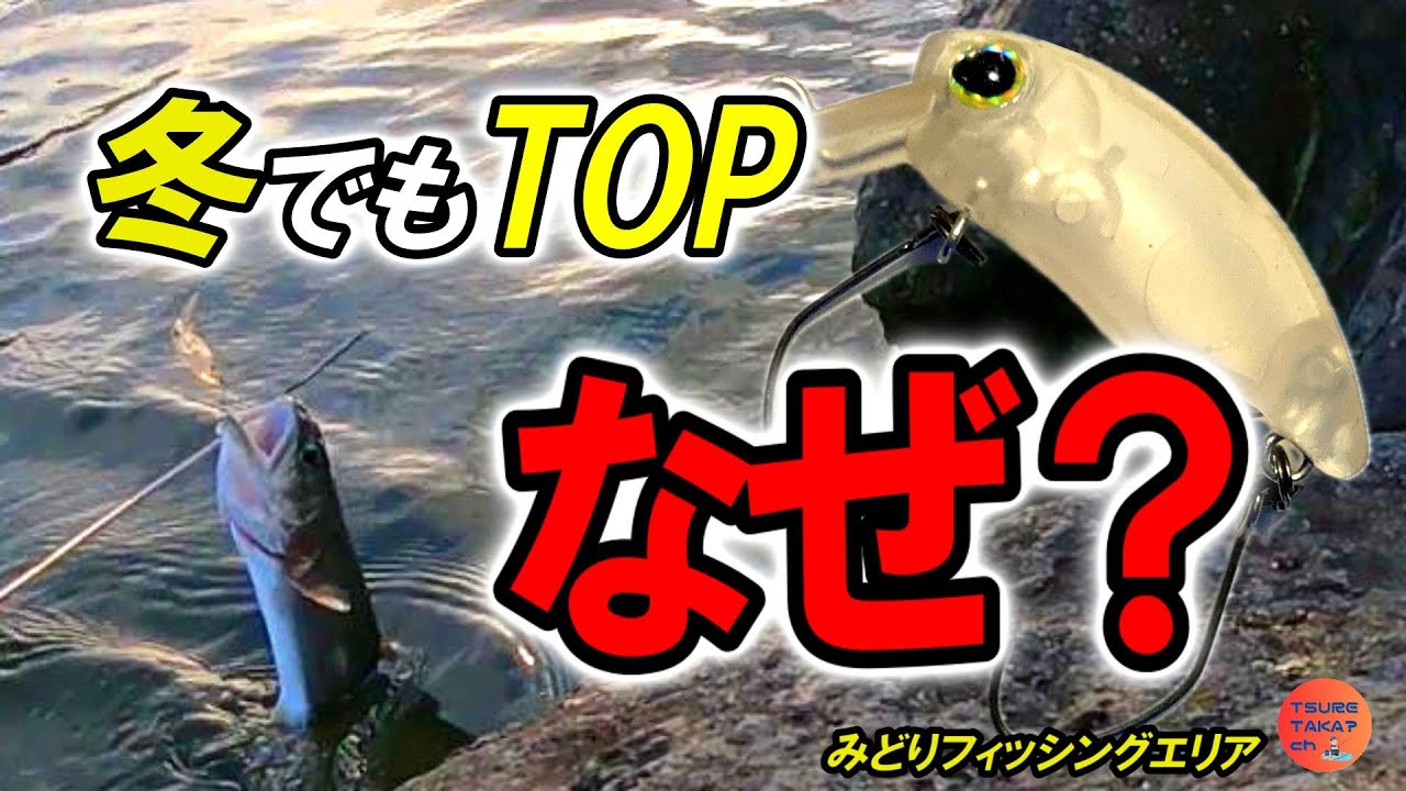 【エリアトラウト】冬でもTOP？夕マズメに覚醒｜みどりフィッシングエリア