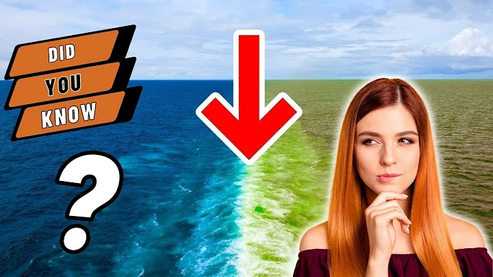 Why Atlantic and Pacific Oceans Don't Mix? + more videos | Education | Trendy Truths
