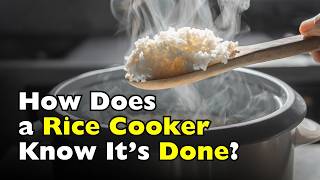 How Does a Rice Cooker Know When Water Is Gone?