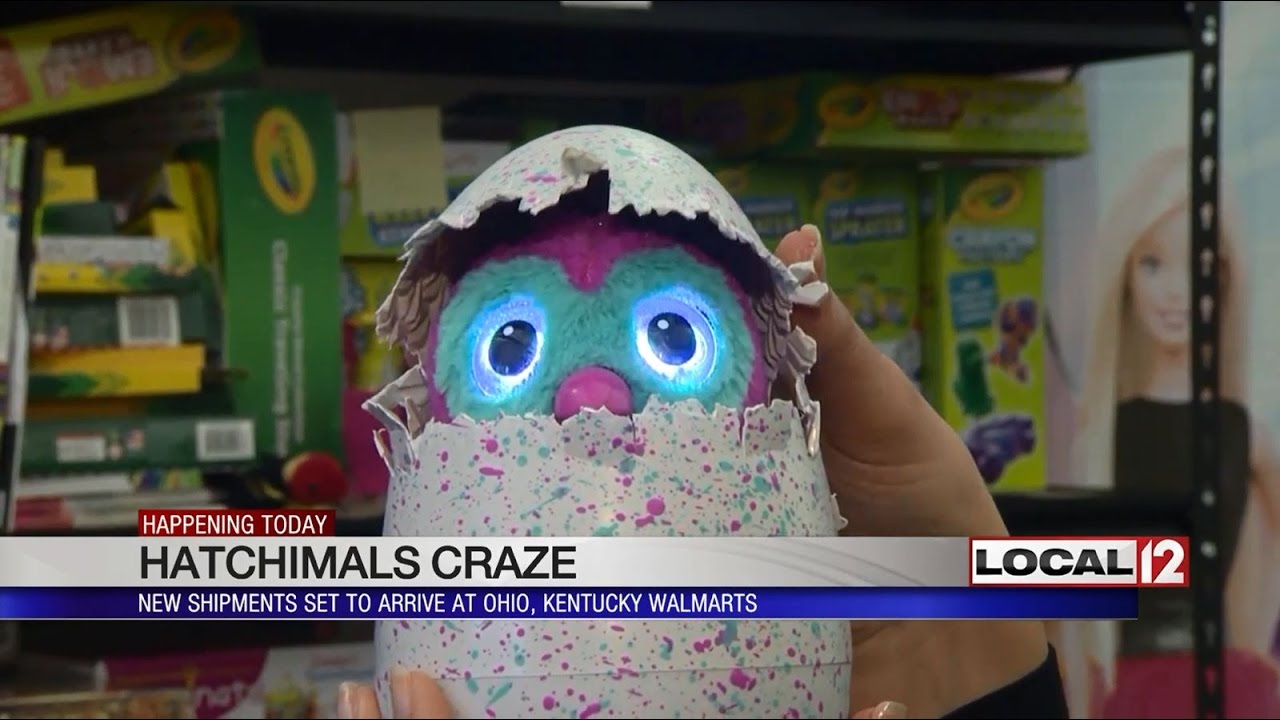 New shipments of Hatchimals set to arrive at Ohio, KY Walmarts