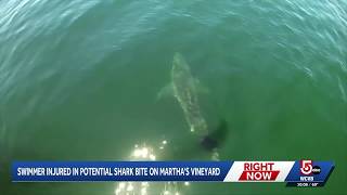 Was it a shark? Woman bitten while swimming off Marthas Vineyard beach
A Marthas Vineyard beach was closed to swimming on Monday afternoon after a woman suffered a leg wound described as consistent with a bite from a marine animal.
WCVB is your home for Massachusetts breaking news and weather. For your latest Massachusetts news and weather visit: https://www.wcvb.com/
For licensing inquiries: https://www.wcvb.com/licensing Was it a shark? Woman bitten while swimming off Marthas Vineyard beach