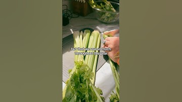 Preserving Our Celery For 25 Years! Having Freeze Dried Celery Is A MUST For Our Pantry!