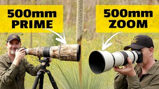 PRIME or ZOOM for Wildlife? Which Do You Prefer? Canon R5 with RF100500 and EF500 F4