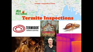St George Termite Inspection