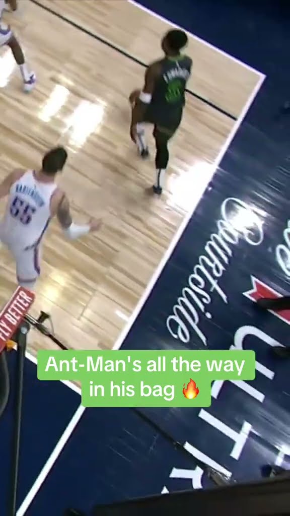Ant in his bag ?