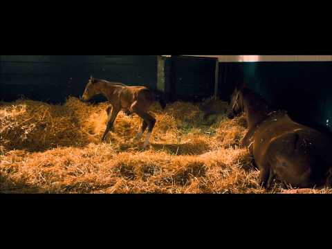 Secretariat - Triler HD subtitulado en espaol