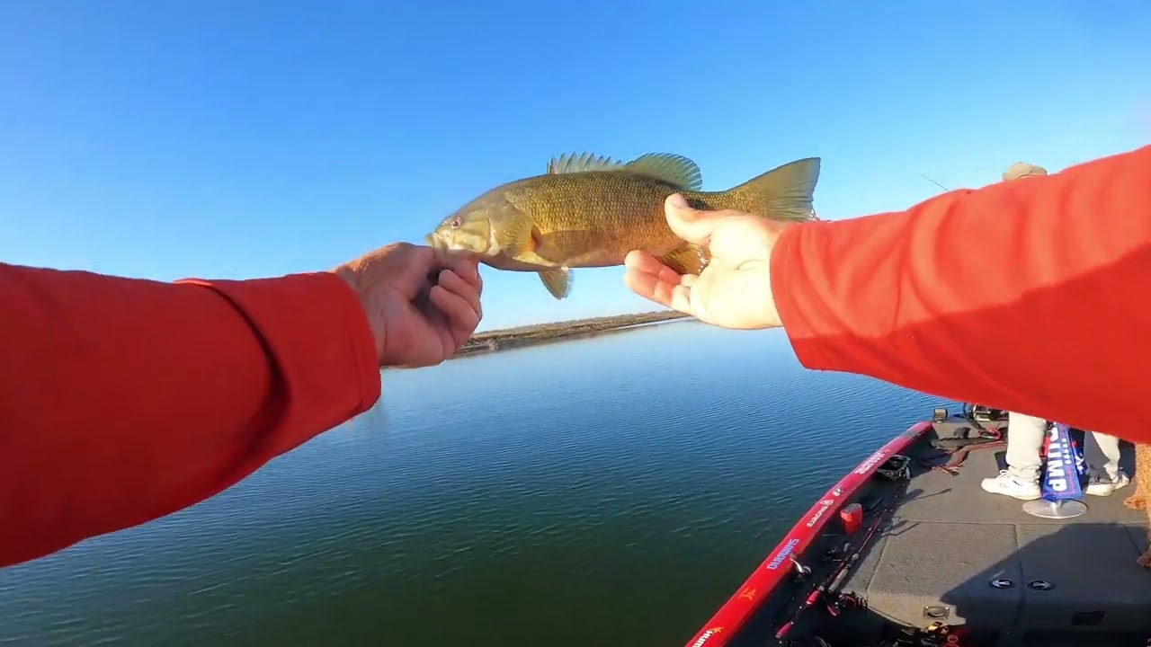 Bass Fishing Election Celebration Day with Captain Jimmy & The Amazing Watt | Riley's Lock | MD |