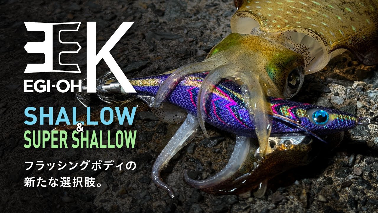 【2026年 新製品】エギ王 K SHALLOW＆SUPER SHALLOW シチュエーション別に特化したフラッシングボディ採用モデル、ついに解禁！