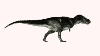 T. rex Walk Cycle WIP