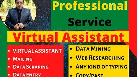 your professional virtual assistant with data entry job