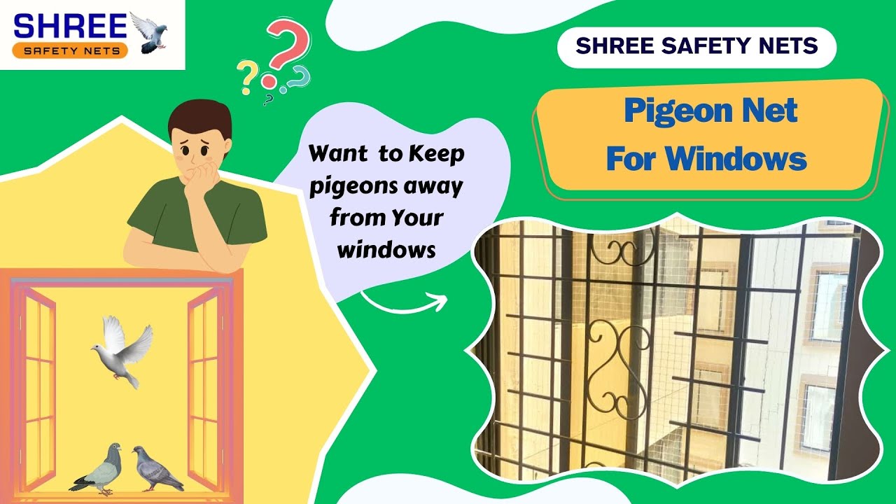 Pigeon Net for Windows - YouTube