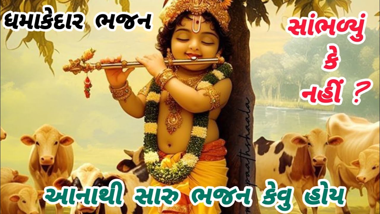 Only the lucky ones get to hear such bhajans🌹krishnabhajan🌺peacefulmeditationmusic🏵️gujaratibhajan#krishna#bhajan