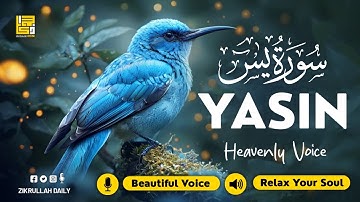 Surah Yasin (Yaseen) سورة يس ✦ Beautiful voice heart touching ✦ Peaceful Quran For Sleep ✦ Alaa Aqel