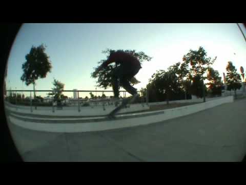 Fingerboard & Skateboard UNITED