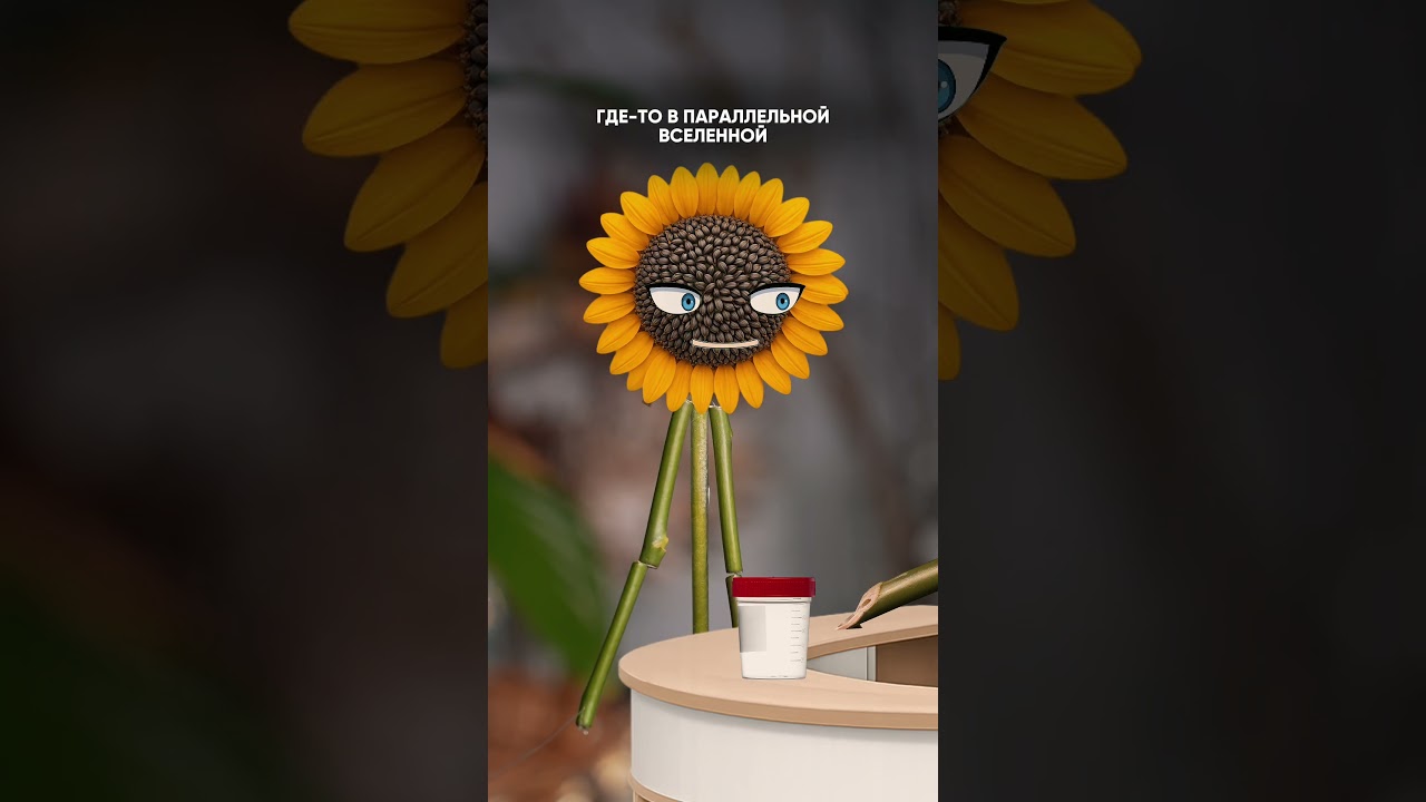 Sunflower DIDN'T EXPECT such a STORY - YouTube
