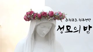 유튜브 썸네일