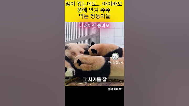 많이 컸는데도… 아이바오 품에 안겨 쮸쮸 먹는 쌍둥이들