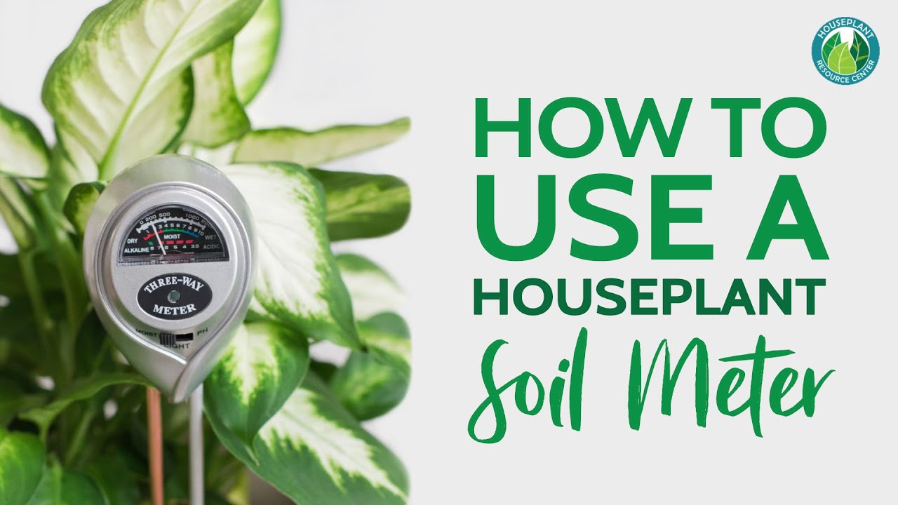 How to Use a Soil Moisture Meter