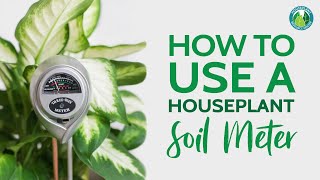 How To Use A Soil Moisture Meter To Care For Your Houseplants  | Houseplant Resource Center