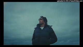 "NO RISK, NO WIN" - CENTRAL CEE X NEMZZZ X NATHAN TYPE BEAT (Prod. Neguiin)